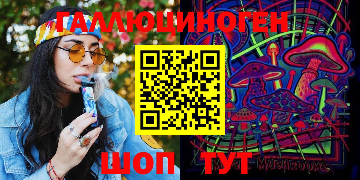 Галлюциногенные грибы Psilocybe Малоярославец