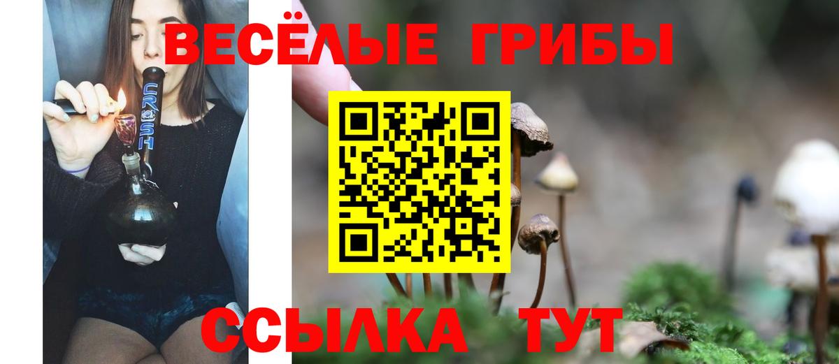 Псилоцибиновые грибы Cubensis  Вход с VPN  Малоярославец  Псилоцибиновые грибы мицелий 